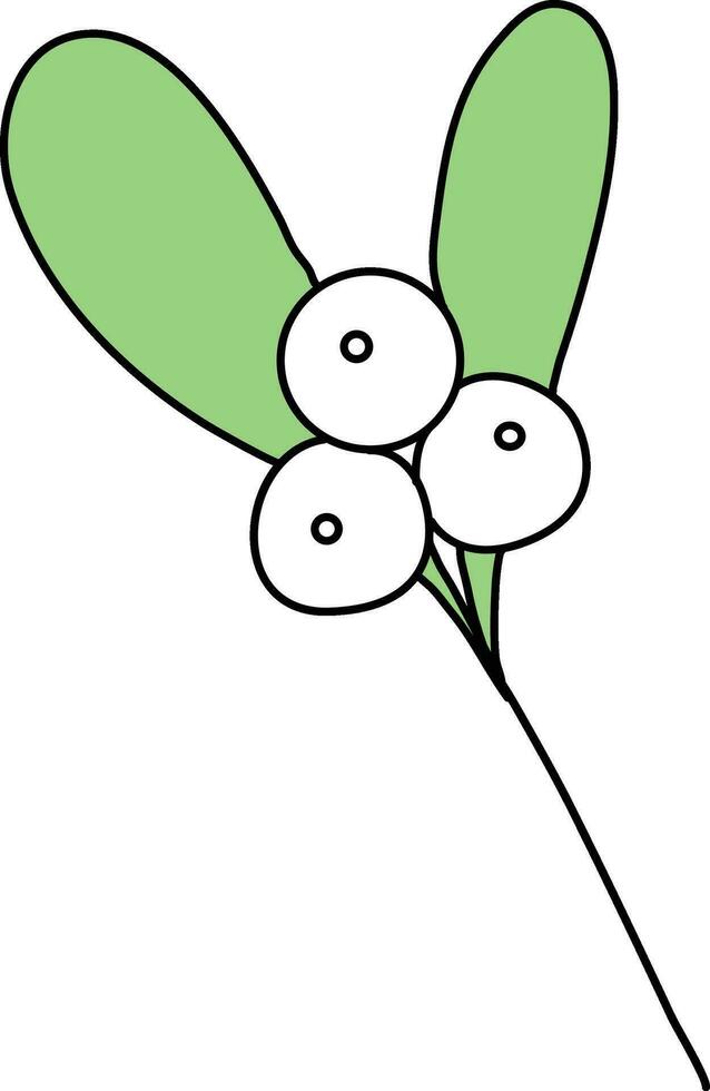 Mistletoe is drawn with simple lines, Beautiful mistletoe green leaves. decorate cards for Christmas New Year.consisting of mistletoe leaves and white berries. vector