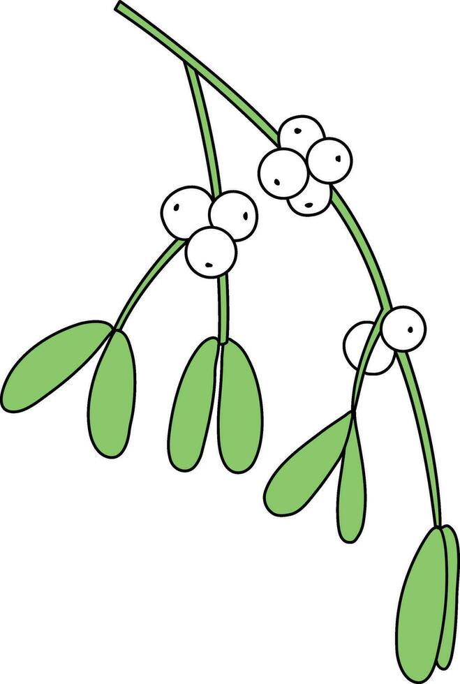 Mistletoe is drawn with simple lines, Beautiful mistletoe green leaves. decorate cards for Christmas New Year.consisting of mistletoe leaves and white berries. vector