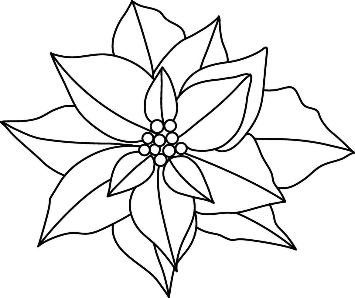 Christmas star with simple doodle lines is used to complement Christmas and New Year artworks. Poinsettia, with both flowers and leaves drawn as a floral arrangement, is placed in a pot for Christmas. vector