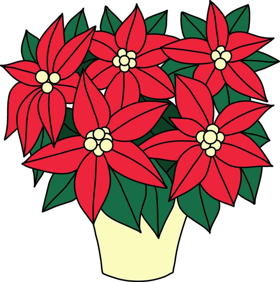 Navidad estrella rojo color con sencillo líneas es usado a complemento Navidad obras de arte flor de pascua, con ambos flores y hojas dibujado como un floral acuerdo, es metido en un maceta para Navidad vector