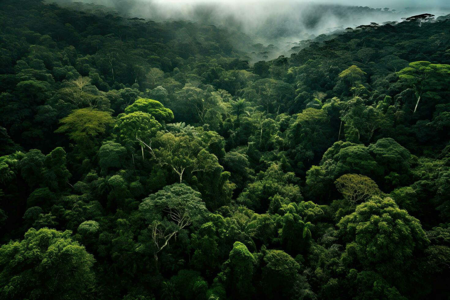AI generated Aerial view of rainforest in Costa Rica, Central America, AI Generated photo