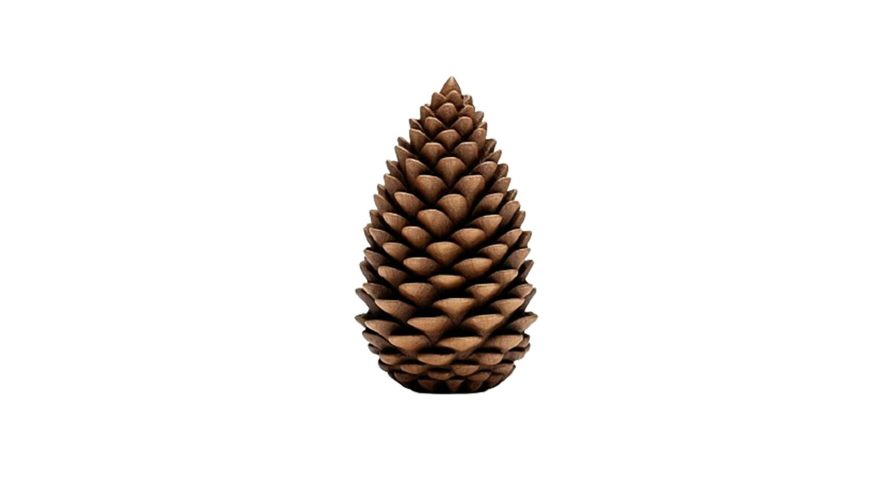 609,539 Pine Cone Images, Stock Photos, 3D objects, & Vectors