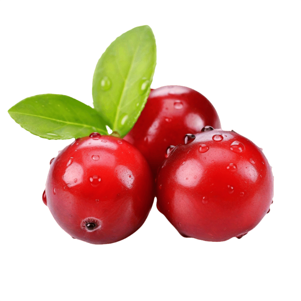 AI generated Ripe Cranberries with Fresh Leaf on transparent Background