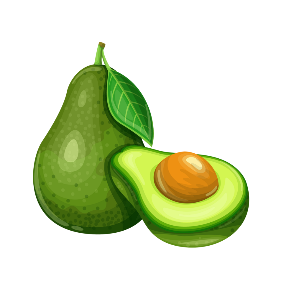 Avocado Obst Illustration im Karikatur Stil. gesund Ernährung ...