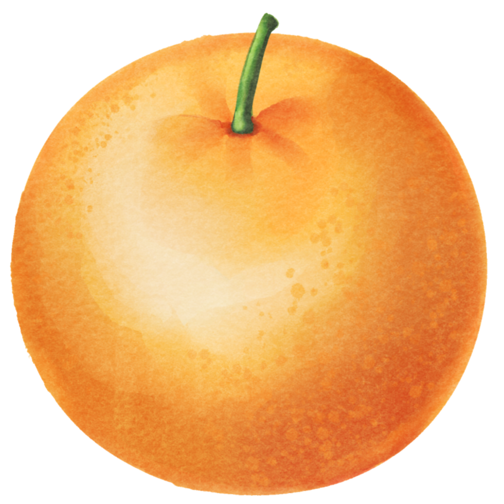 orange citrus juicy png