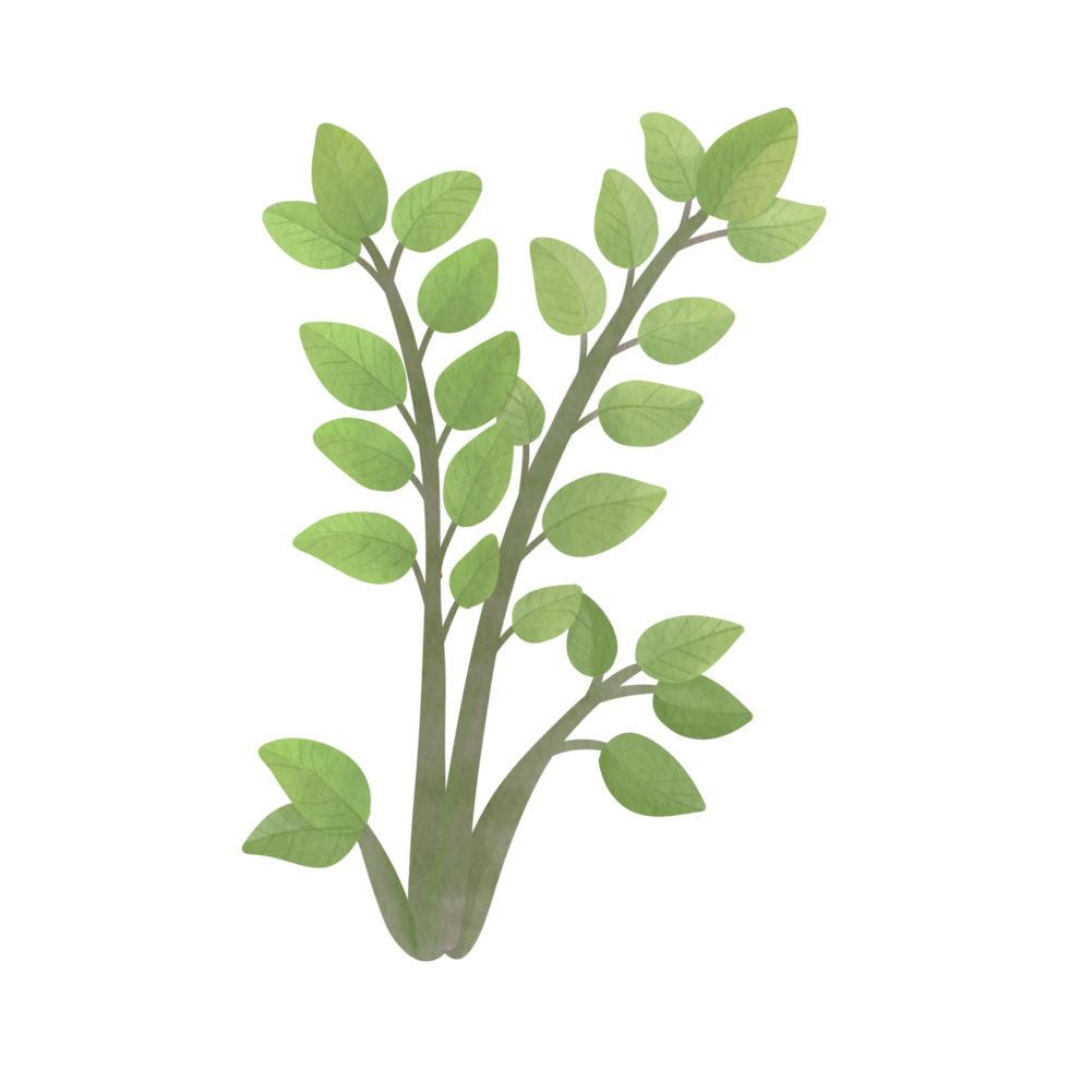AI generated Green Gradual Tree Branches And Leaves png