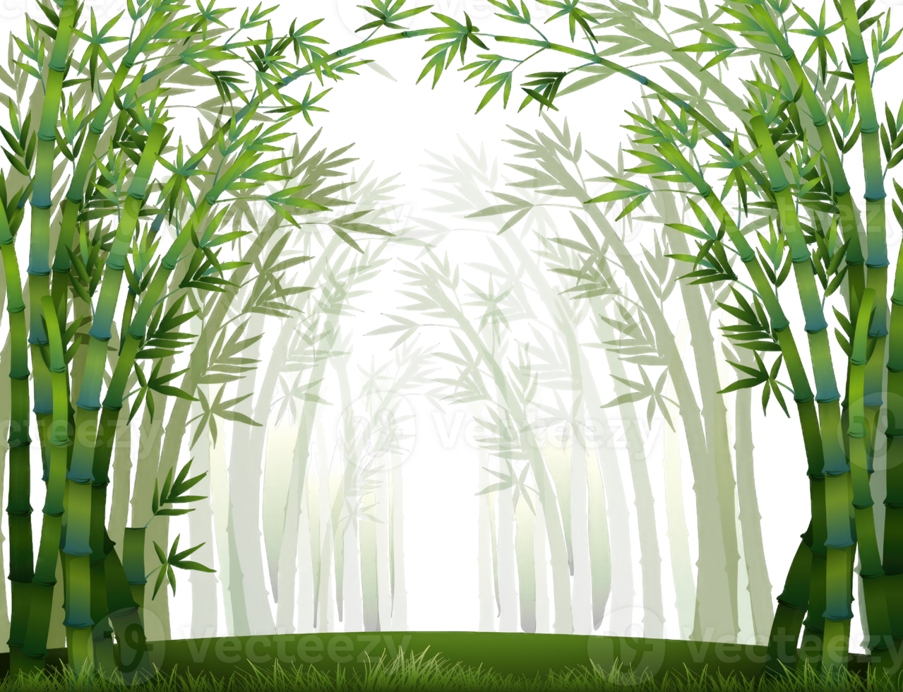 Fresh Bamboo Trees In Forest With Blurred Background, border, Invitation card concept, transparent background png