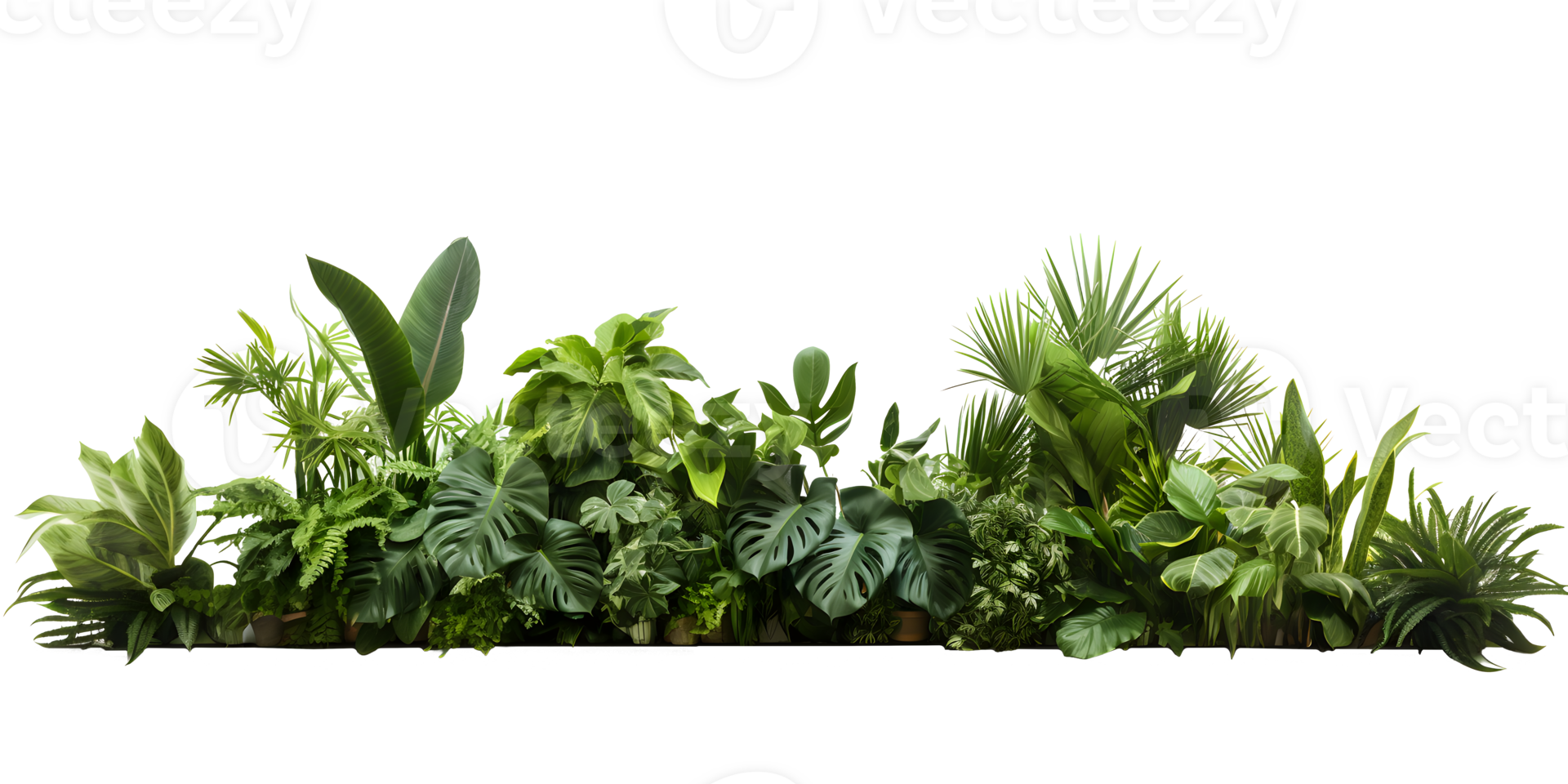 AI generated Green leaves and plants PNG