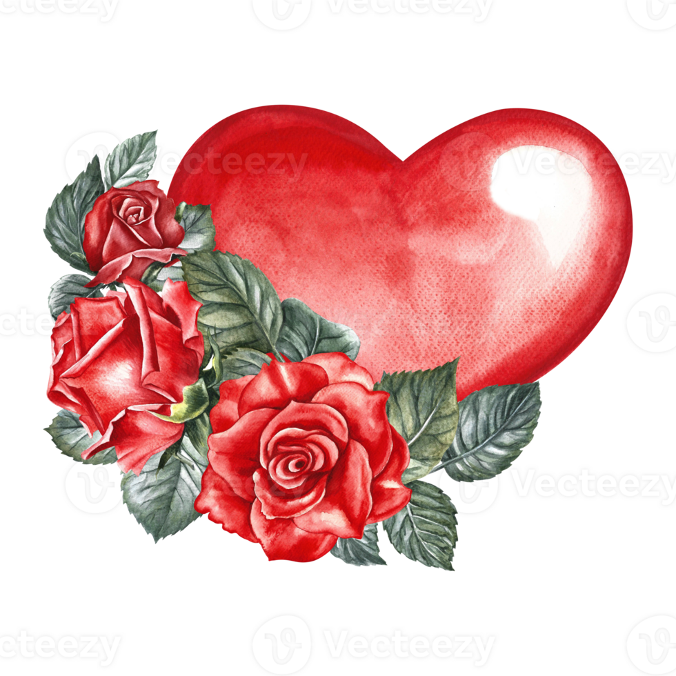 Red watercolor heart decorated with roses. Hand-drawn watercolor illustration. A design element of a Valentine's day card, a wedding invitation. For packaging and labels, posters and leaflets, prints png