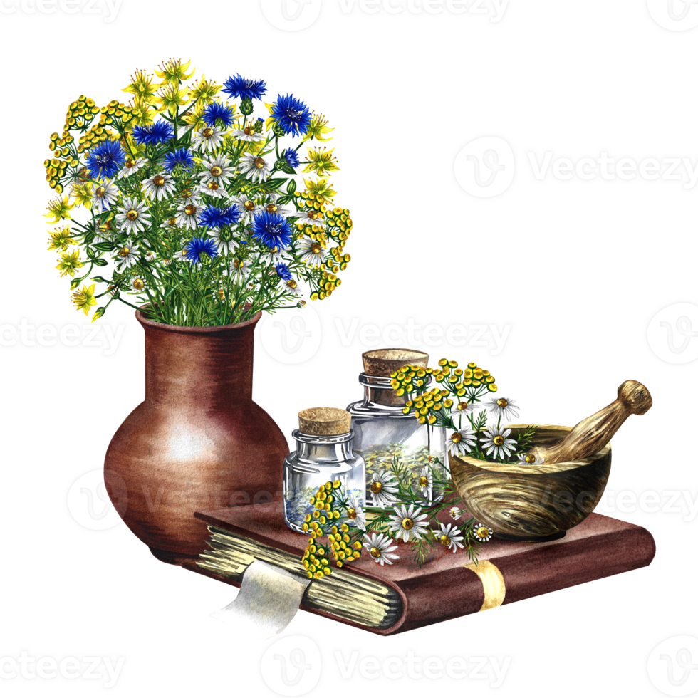 Medicinal herbs, chamomile, cornflowers and tansy. Medicinal plants. A wooden mortar and glass vials on an old recipe book. Hand-drawn watercolor illustration. Isolated. For banner, flyer. png
