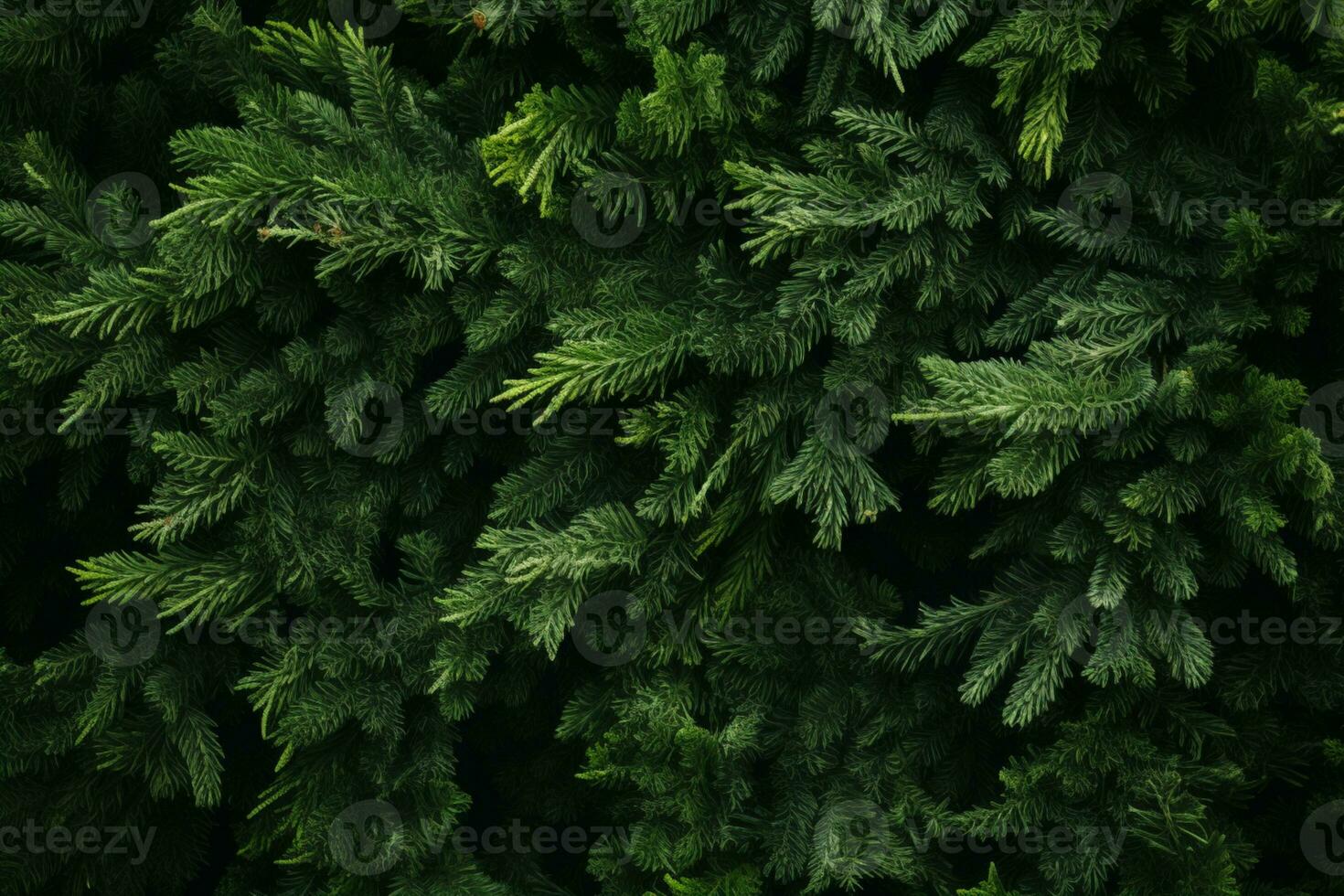 AI generated christmas tree branches natural wallpaper natural backdrop for your design flat lay copy space photo