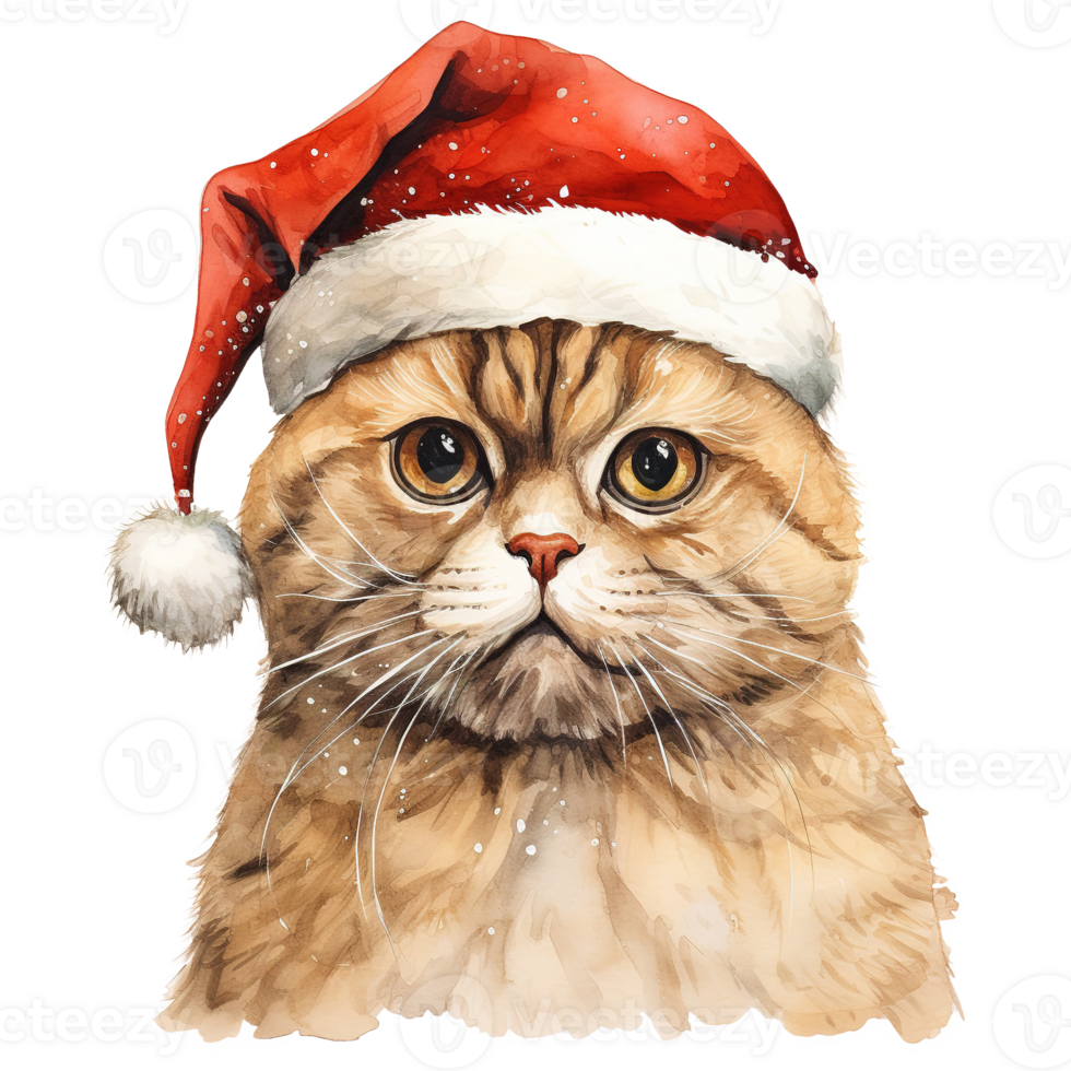 AI generated Scottish Fold Cat Wearing a Santa Hat. AI generated image png