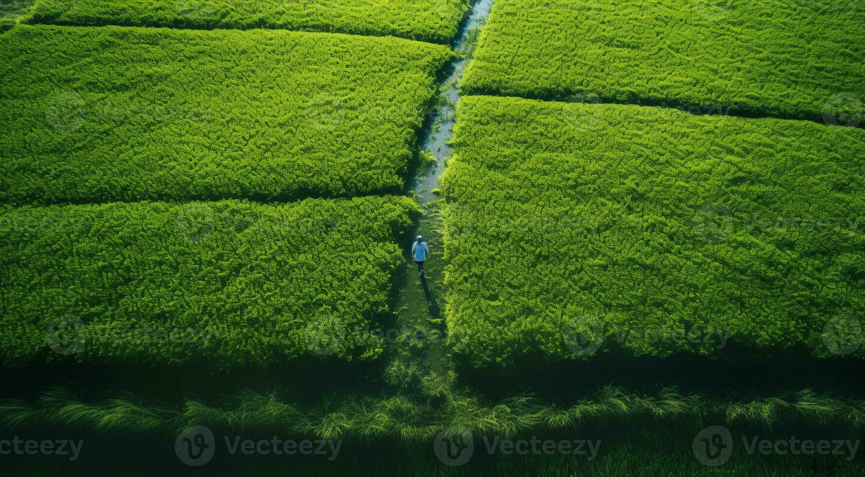 AI generated panoramic aerial view of fields and grass photo