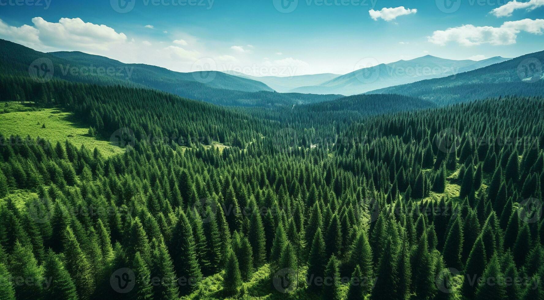 AI generated landscape with trees, forest view, tropical forest view, plants and trees photo