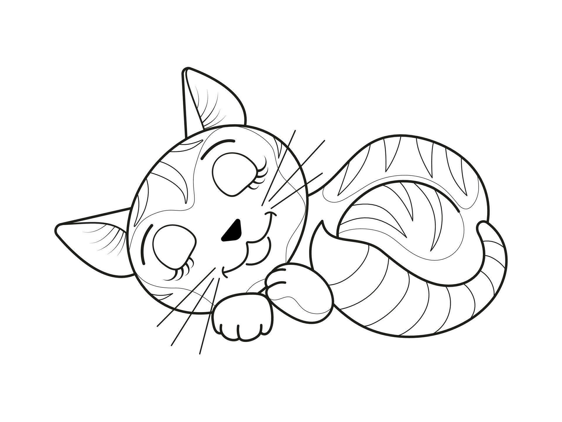 Funny sleeping cute cat. Black and white linear image. The illustration