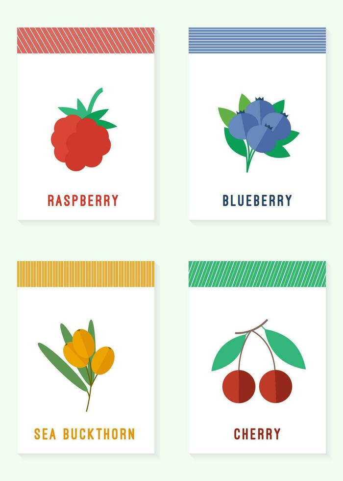 Tags or cards templates with berries in flat vector