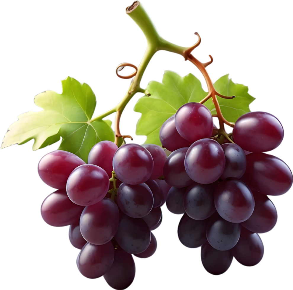 AI generated two red grapes on a transparent background png