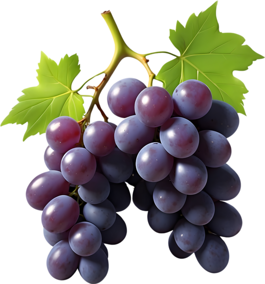 AI generated two red grapes on a transparent background png