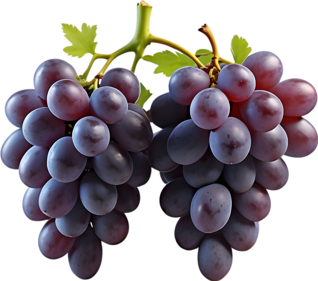 AI generated two red grapes on a transparent background png