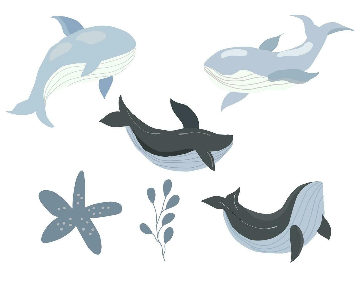linda pastel ballena dibujos animados ilustración vector