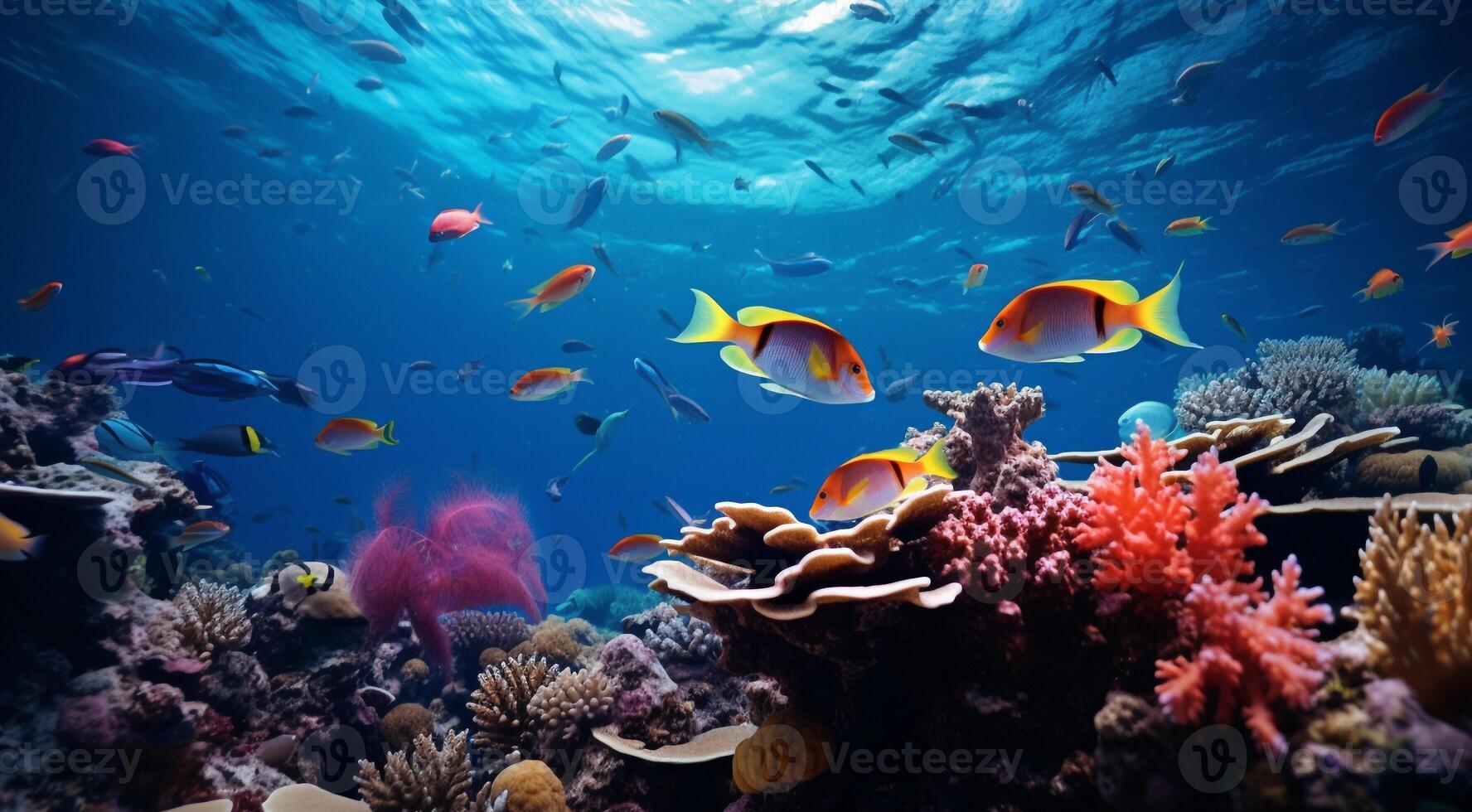 AI generated top view of the sea, oceanic view, coral blue water photo