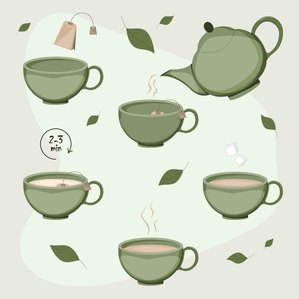 Instructions for making tea. infographics, step-by-step instructions, tips. A poster for the kitchen or dining room. vector