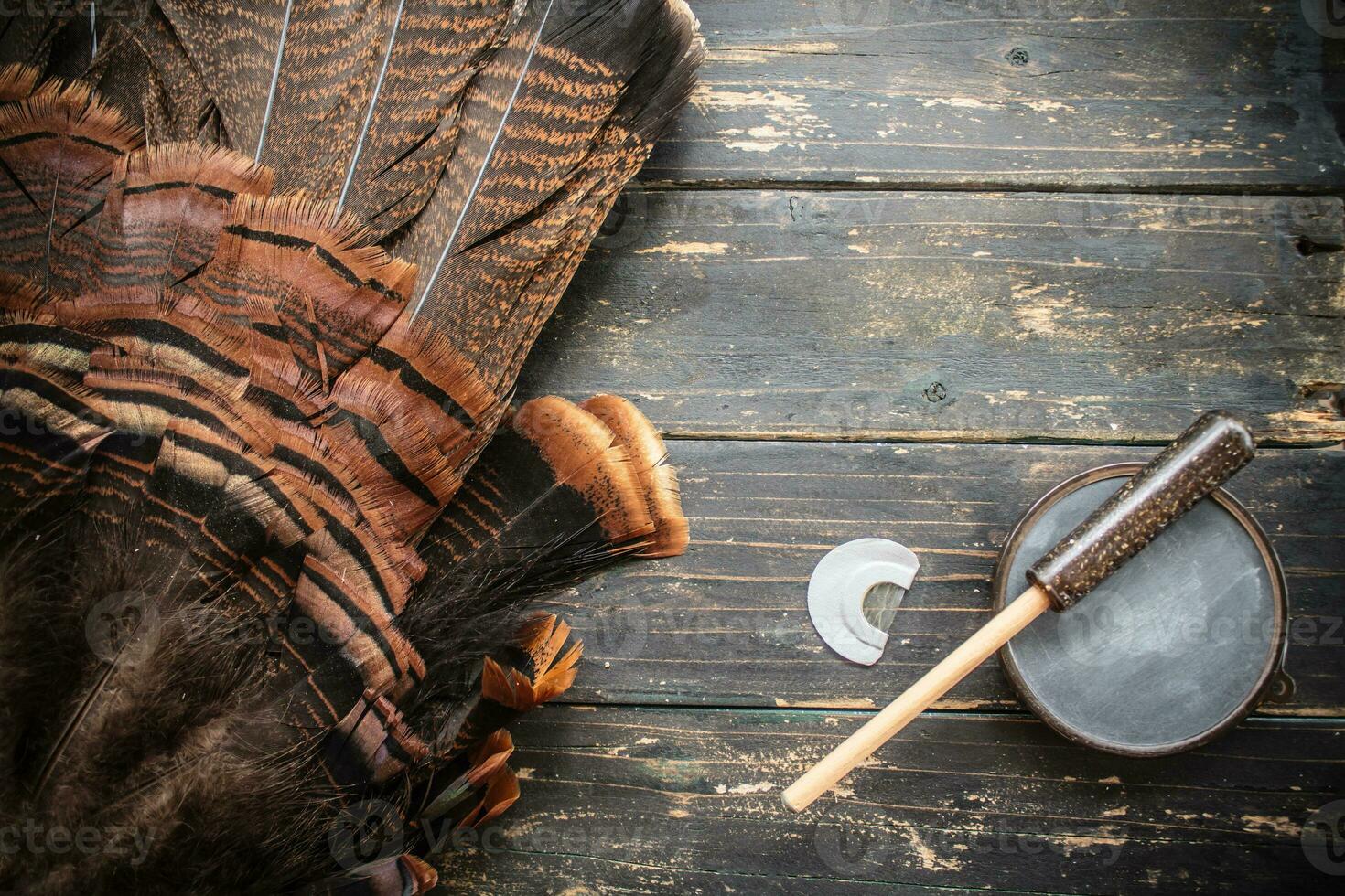 Eastern Wild Turkey Hunting Background photo