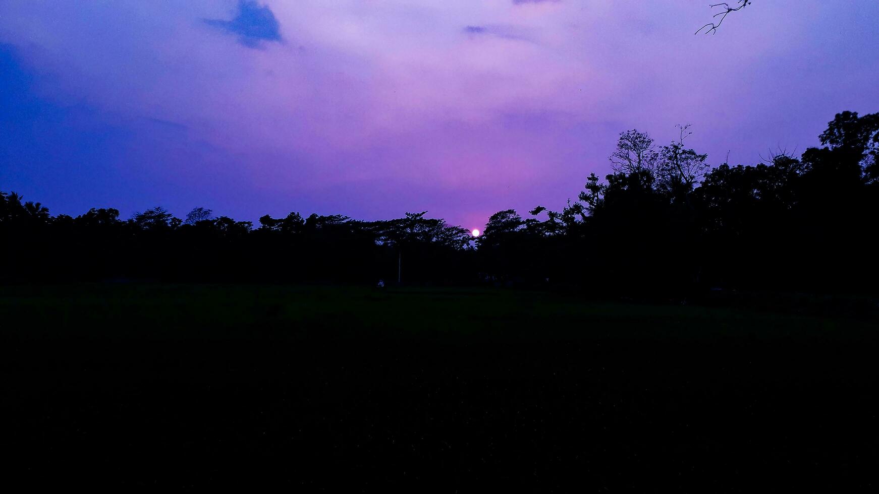 Lovely Sunset Behind Lots Of Trees photo