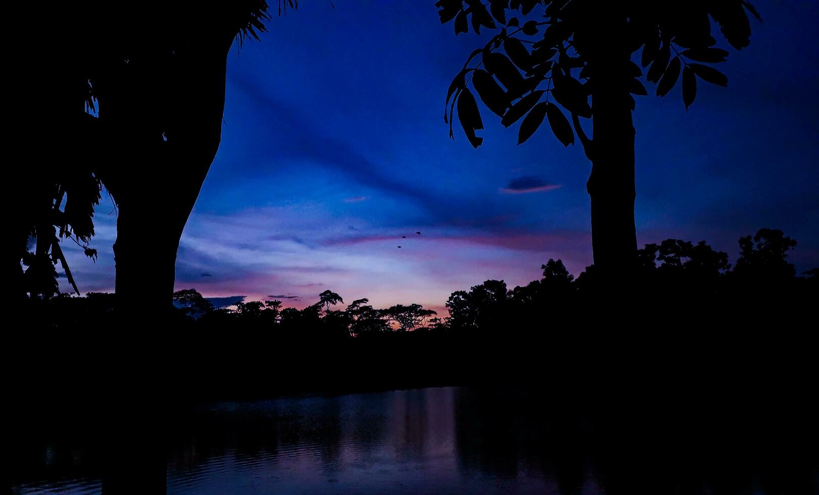 maravilloso puesta de sol detrás algunos arboles foto