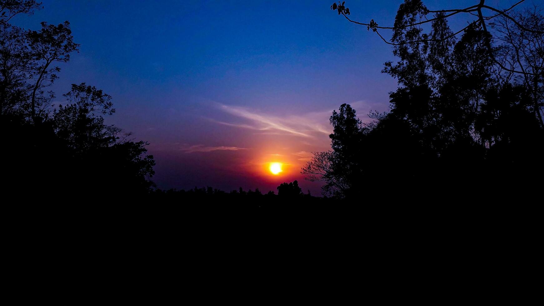 Lovely Sunset Behind Some Trees photo