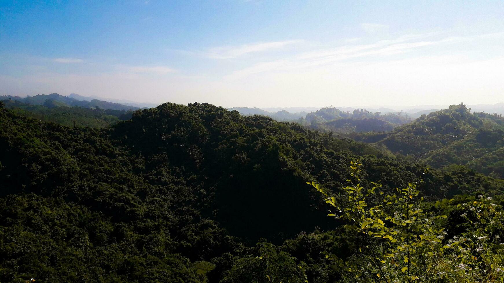 Green Forest And Mountain View With Blue Sky In Background photo