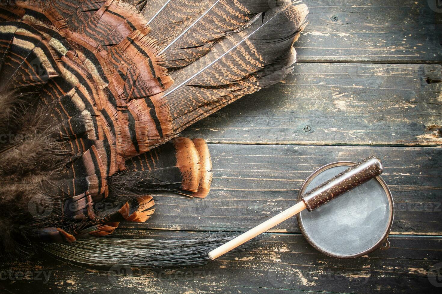 Eastern Wild Turkey Hunting Background photo