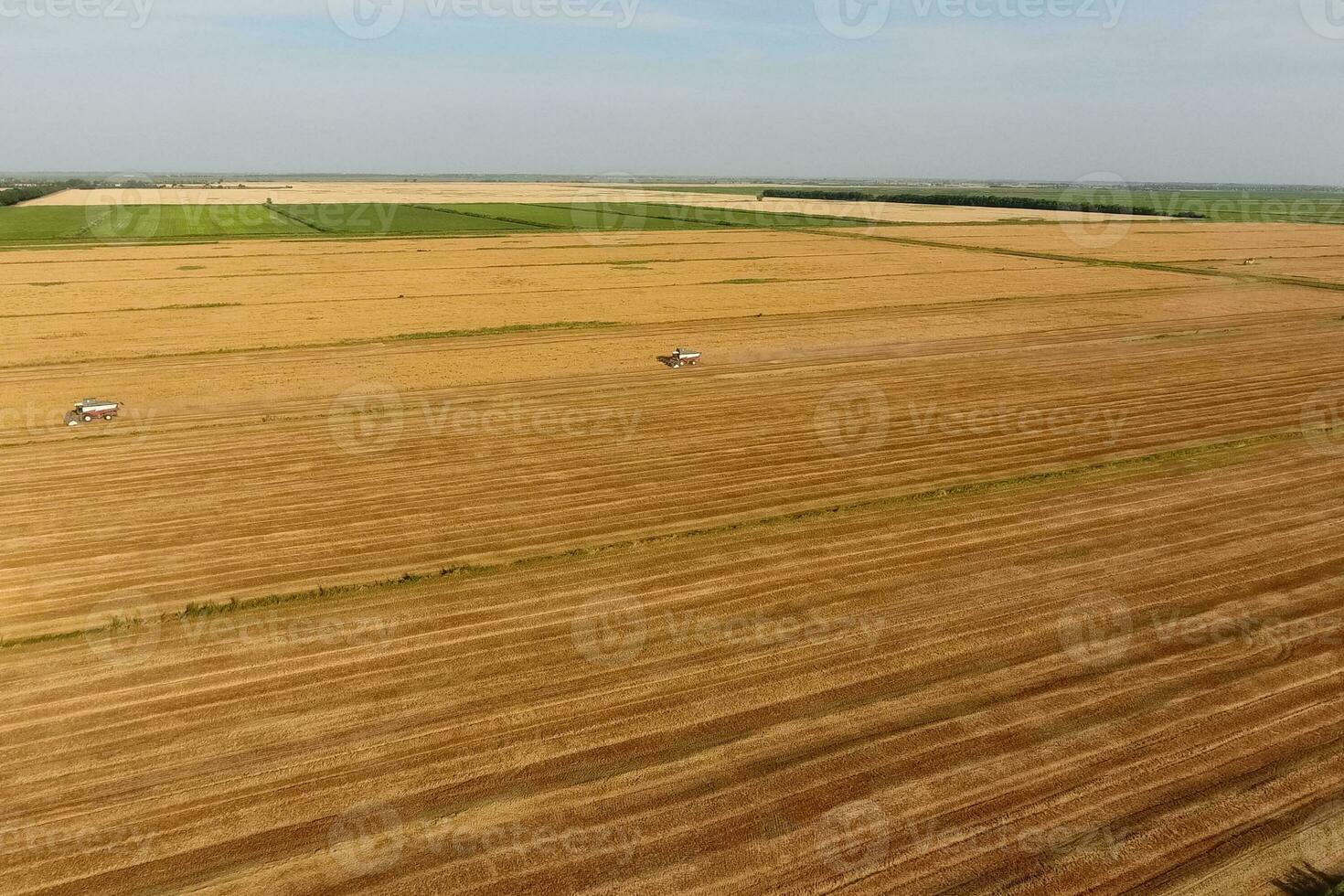 Combine harvester harvest barley photo