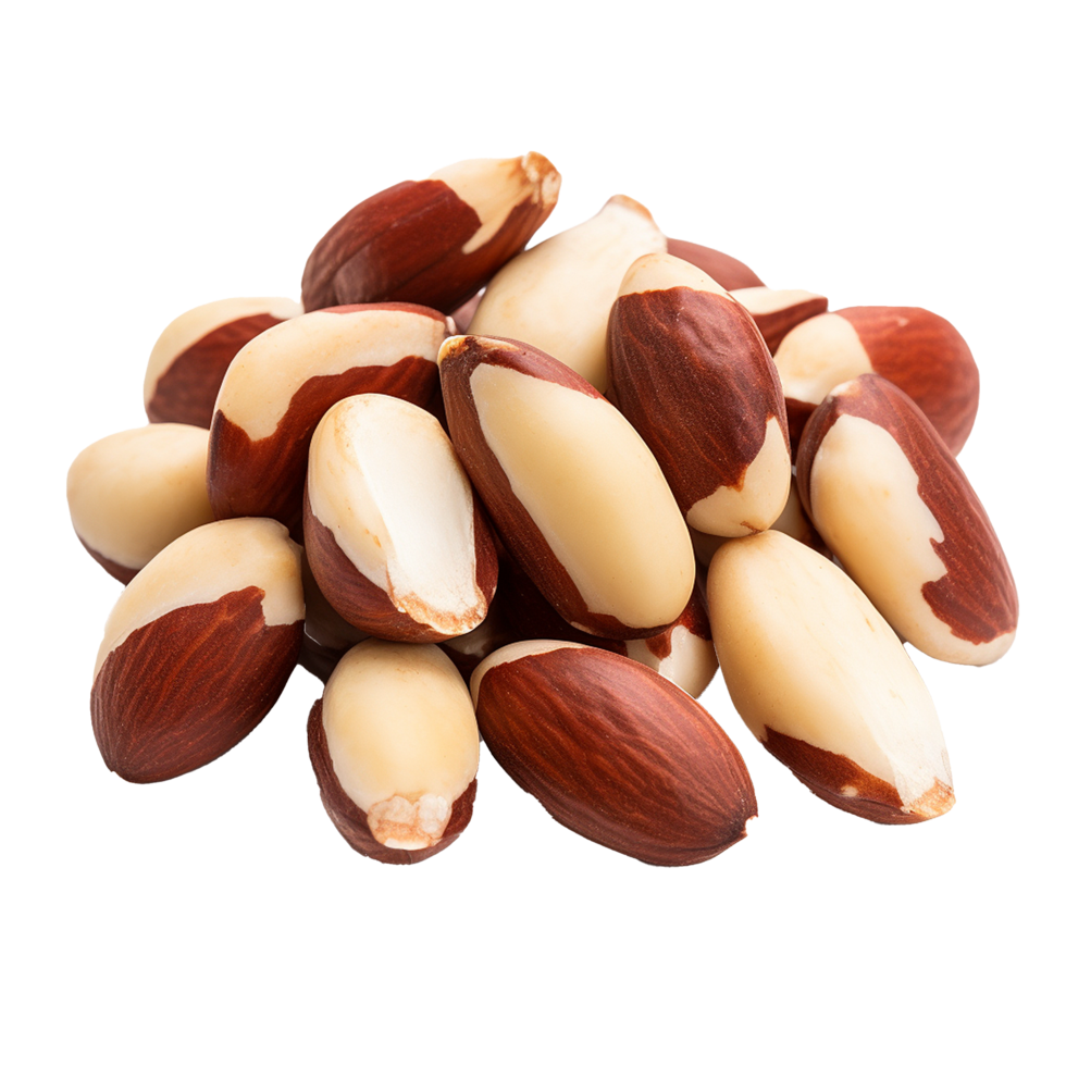 AI generated Tasty brazil nuts png isolated on transparent background
