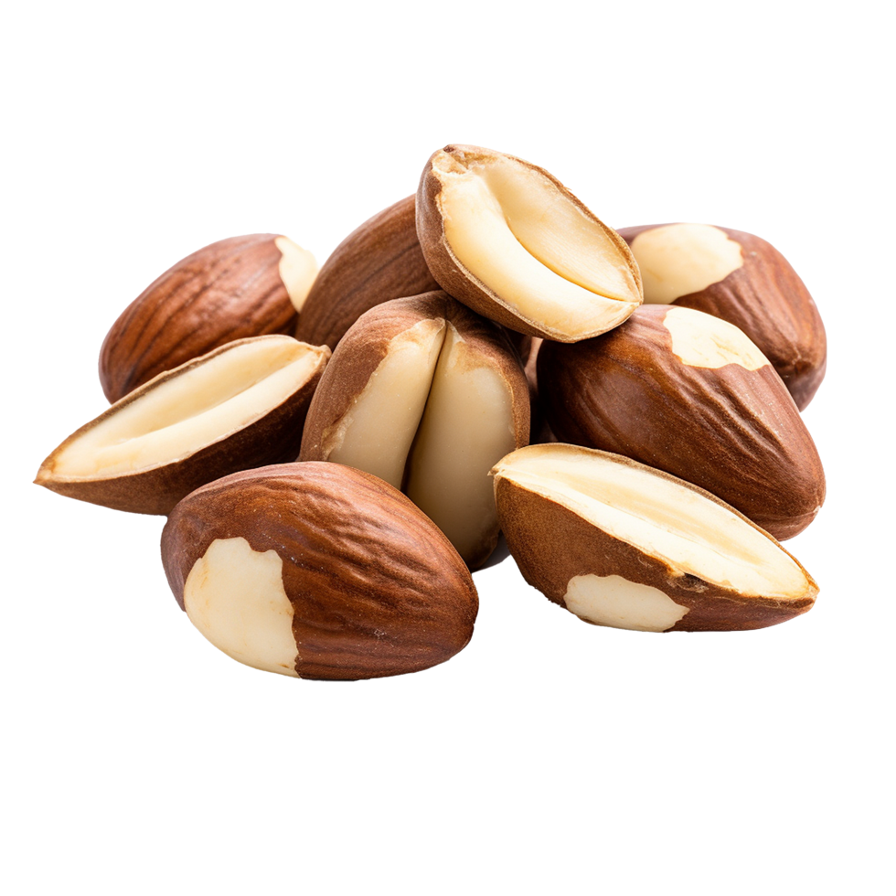 AI generated Tasty brazil nuts png isolated on transparent background
