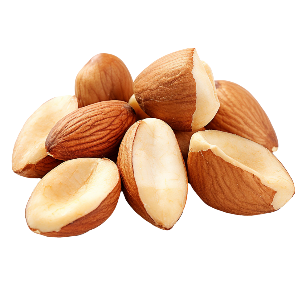 AI generated Tasty brazil nuts png isolated on transparent background