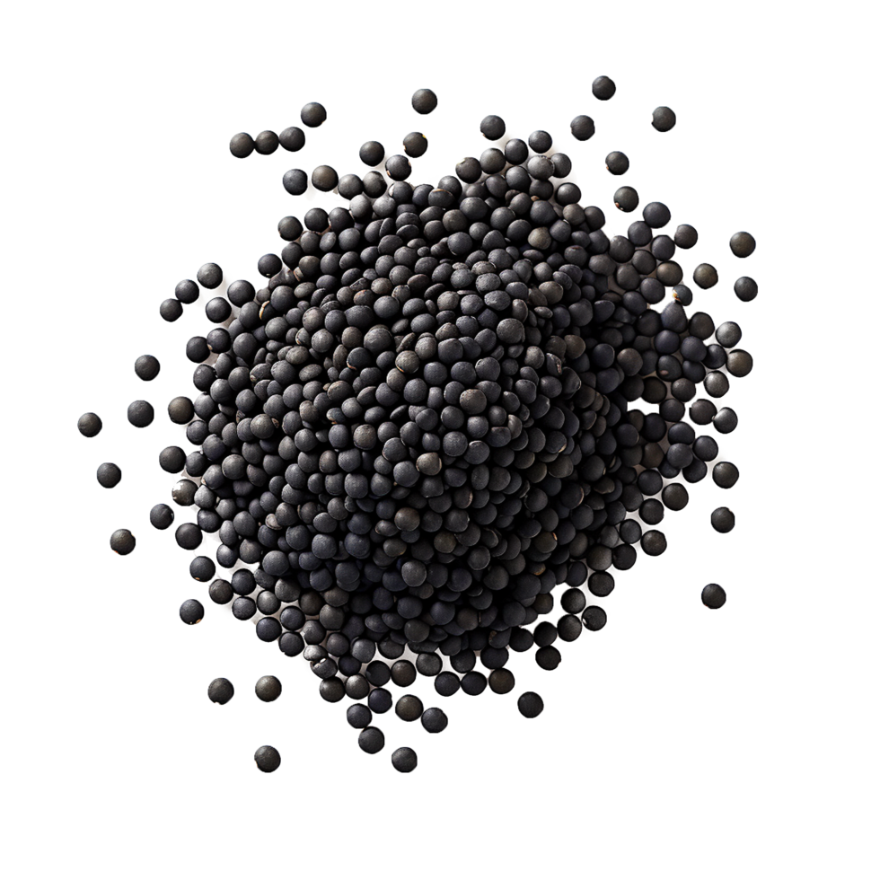 AI generated Fresh black lentils png isolated on transparent background