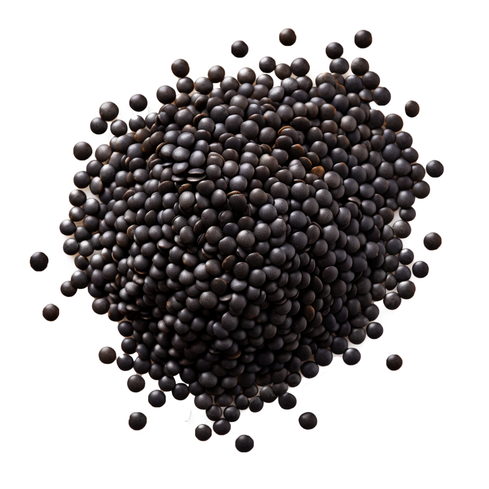 AI generated Fresh black lentils png isolated on transparent background