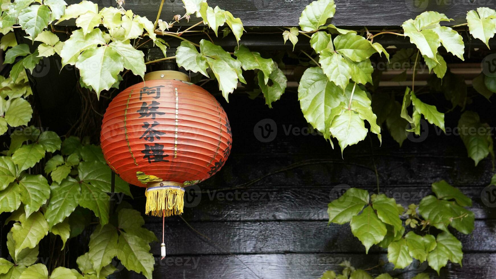 a red lantern hanging from a vine covered wall photo