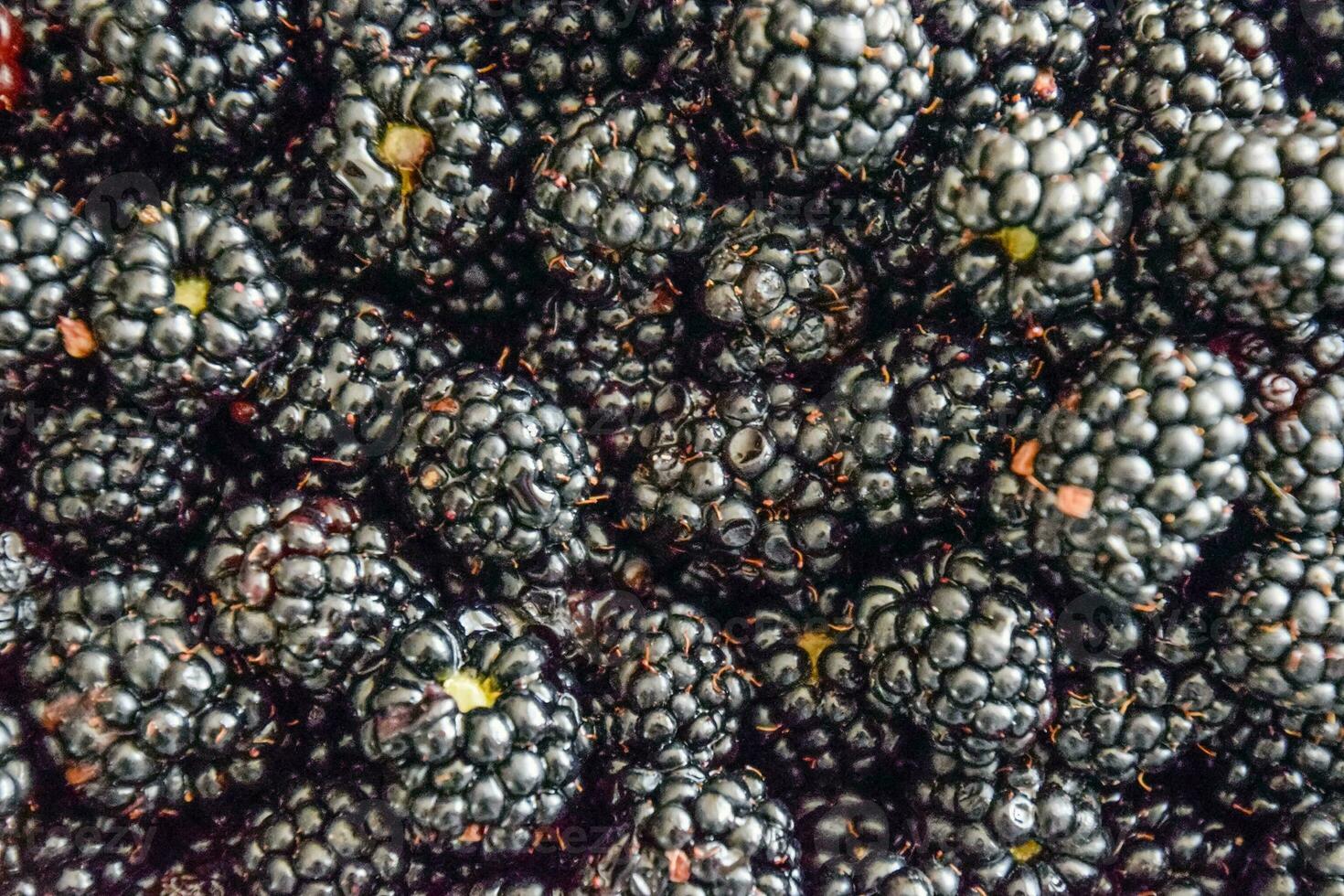 Plate with berries black blackberries photo
