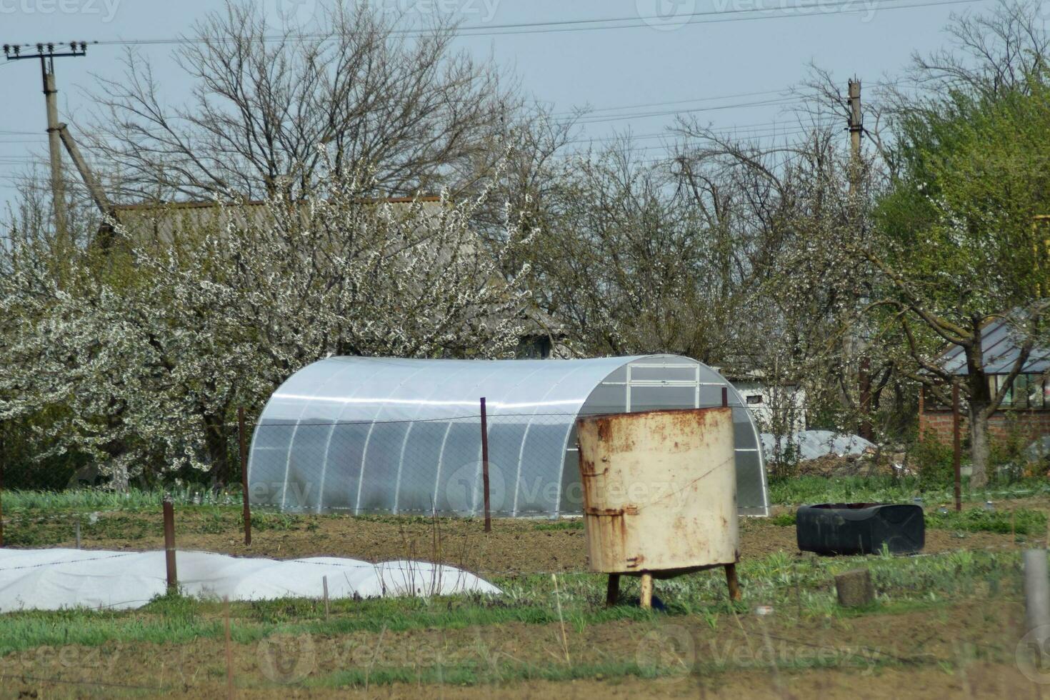 Greenhouse polycarbonate in a private garden photo