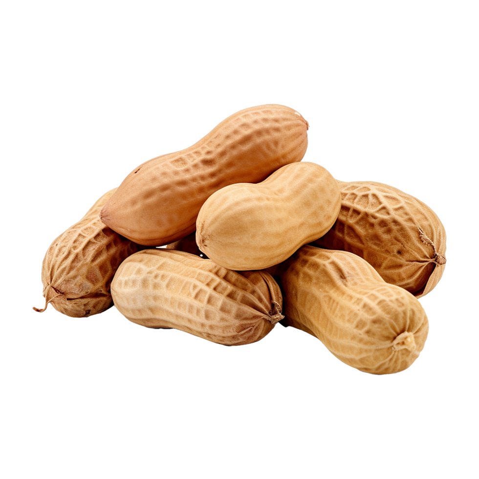 AI generated Peanut isolated on transparent background png