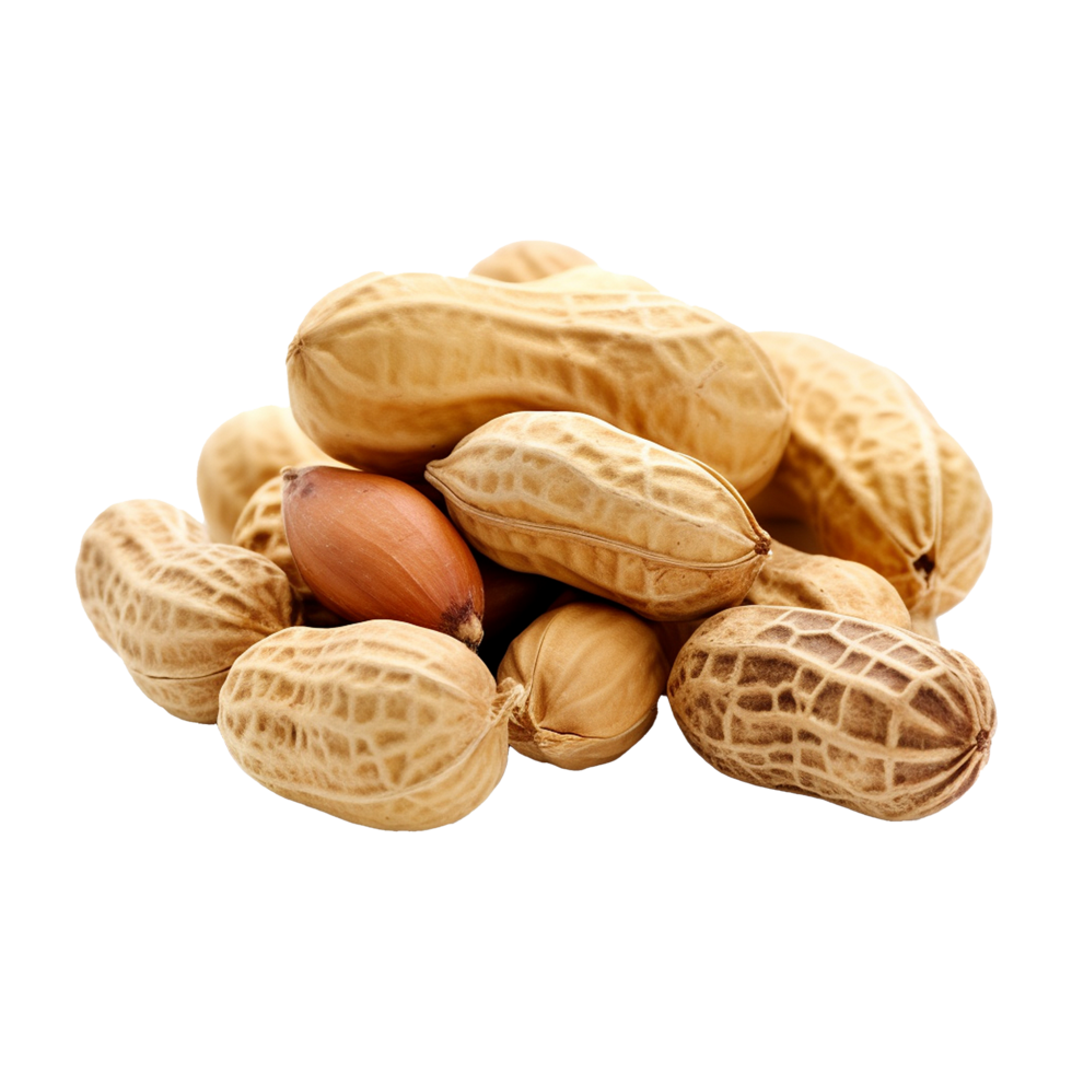 AI generated Peanut isolated on transparent background png