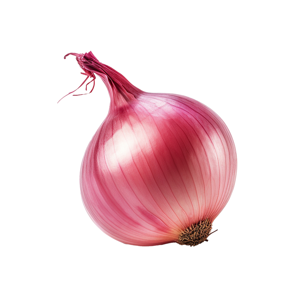 AI generated Onion png isolated on transparent background