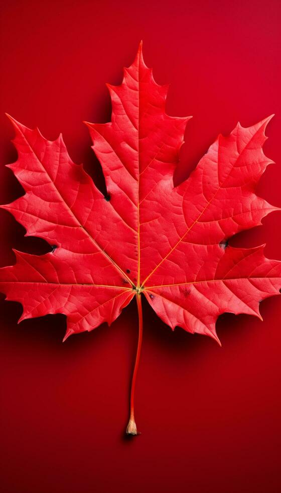 AI generated 4K colorful leaf AMOLED wallpaper photo