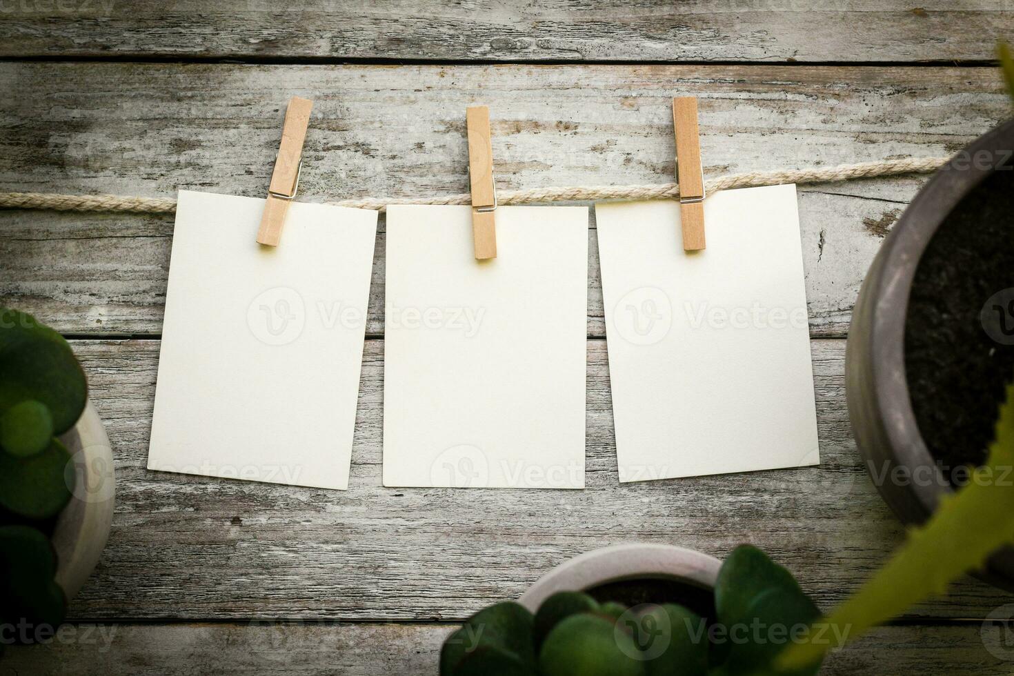 Blank Cards on a Vintage Clothes Line Wood Background photo