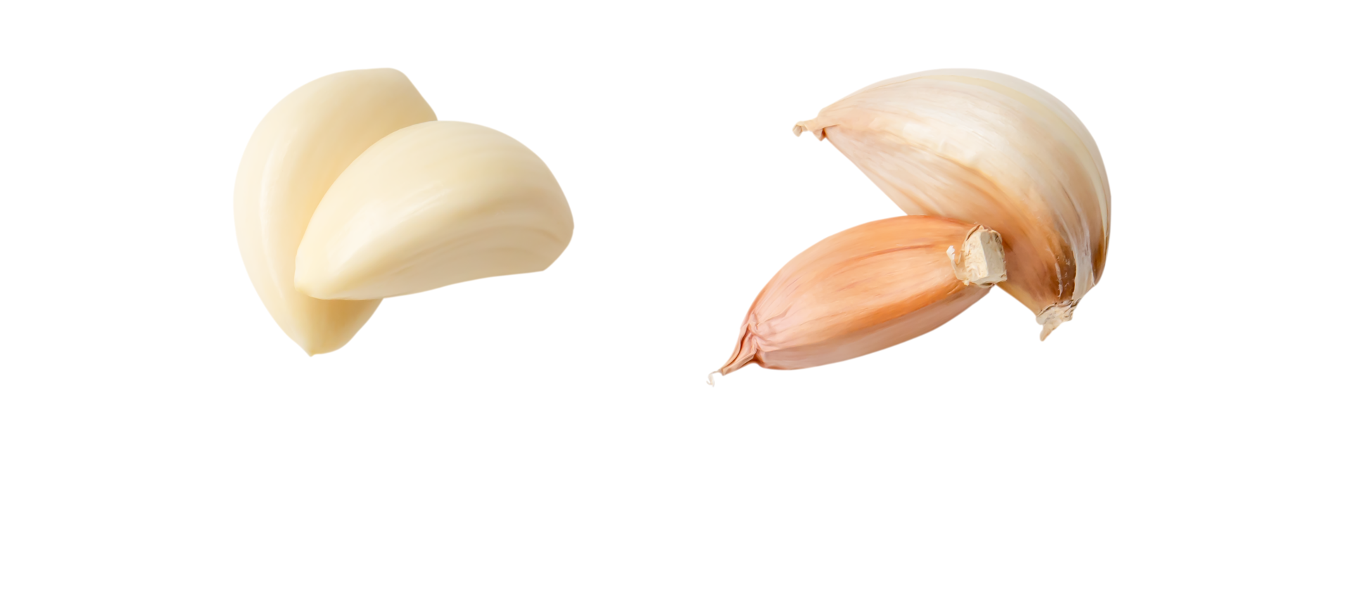 Top view set of peeled garlic cloves or slices isolated with clipping