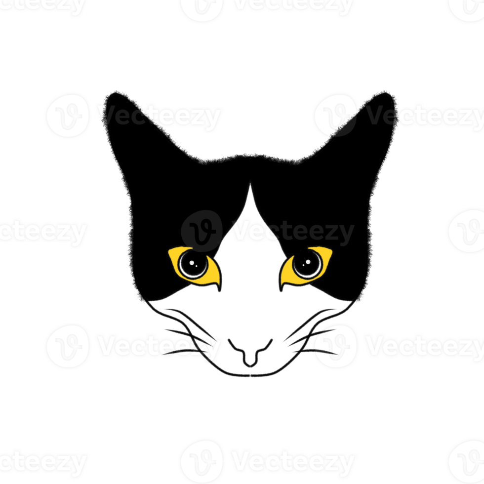 Face cat cute isolated on background png