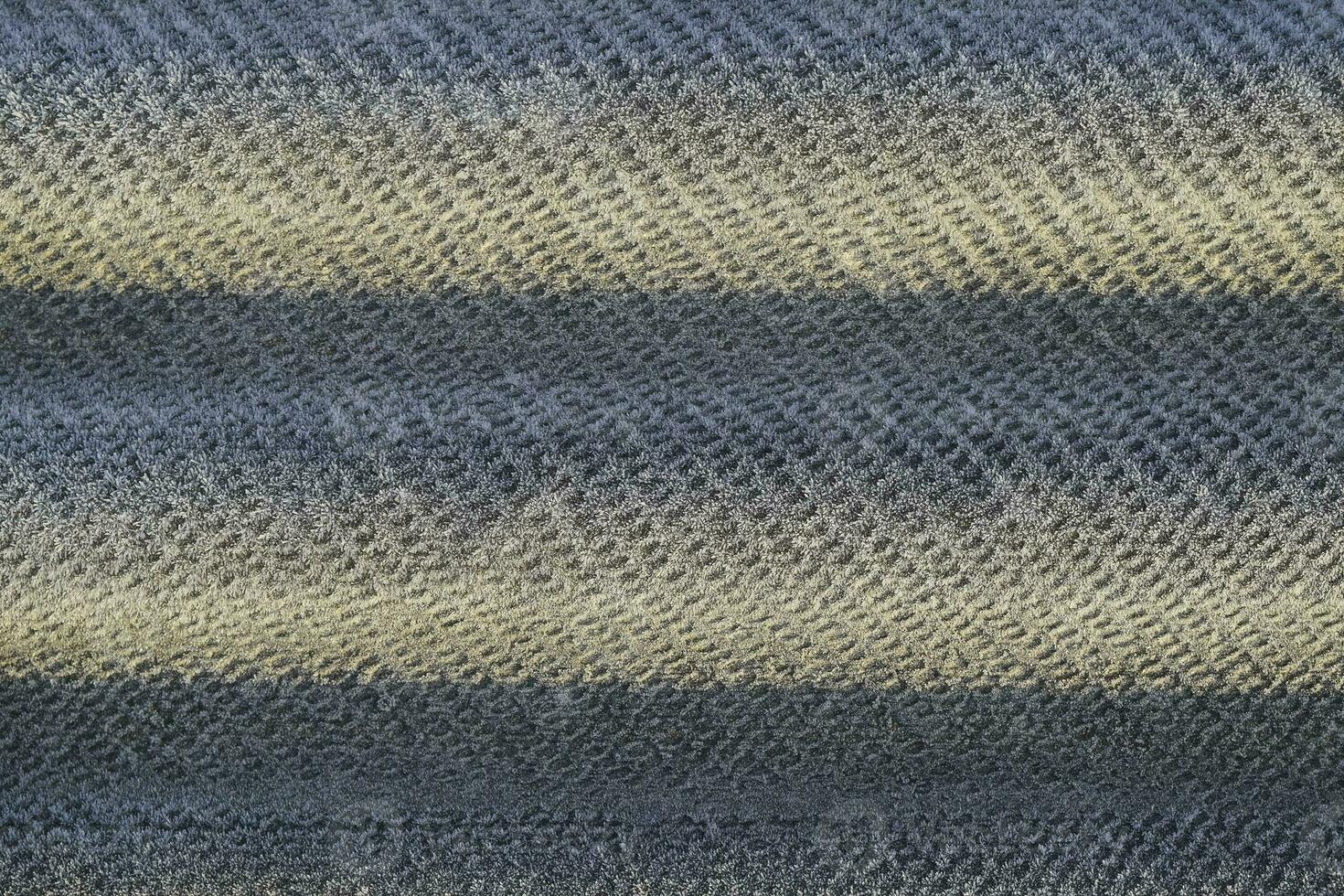 Background of a sheet of slate covered with frost photo