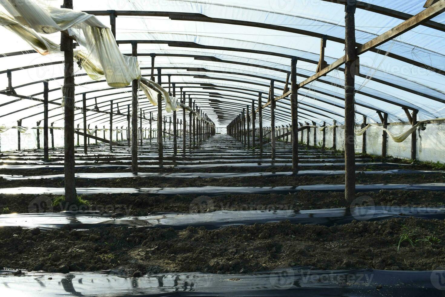 Greenhouses made of polymer film. Early spring in the garden gre photo